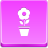 Pot Flower Icon 96x96 png